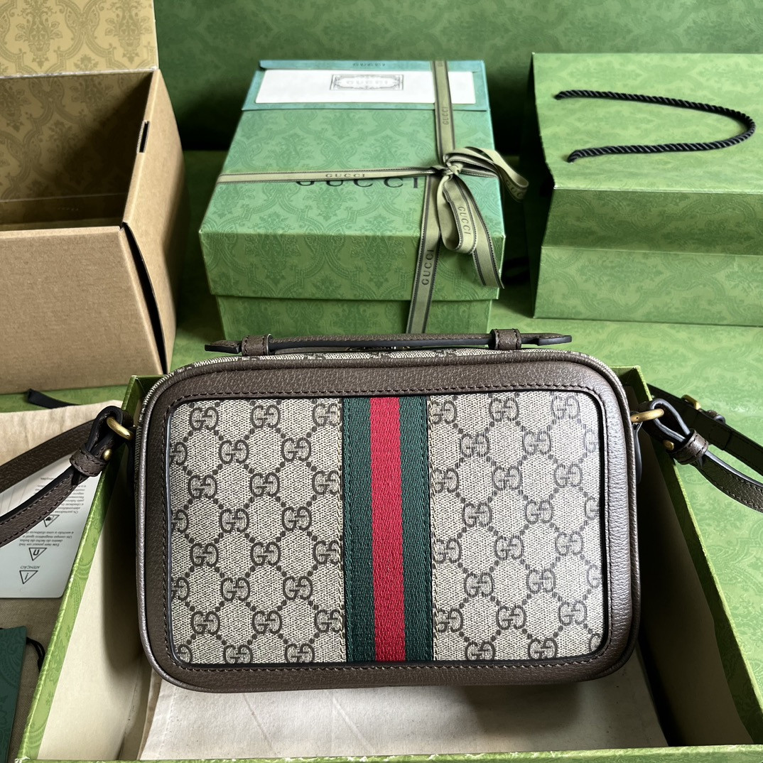 Gucci Ophidia Bag