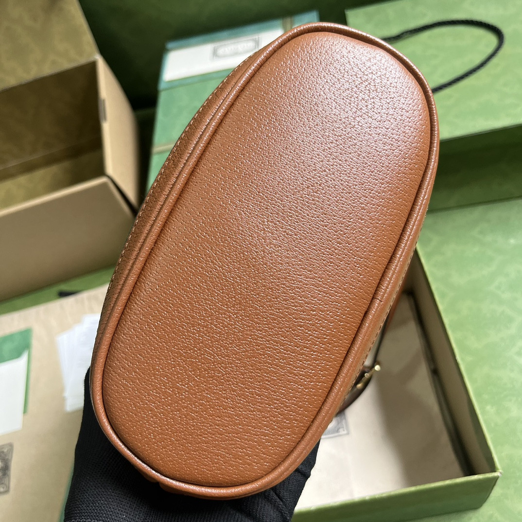 Gucci Ophidia Bag