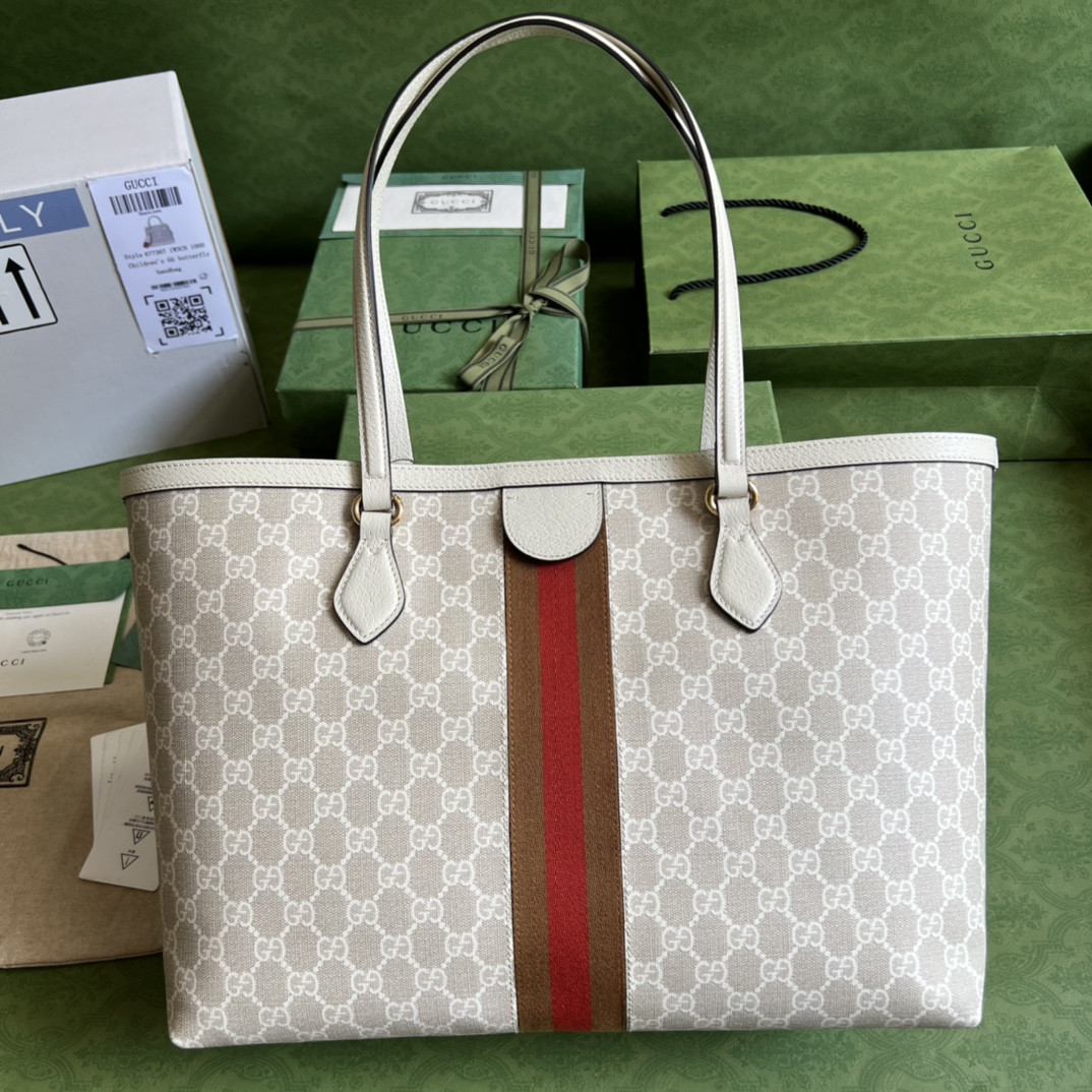 Gucci Ophidia Bag