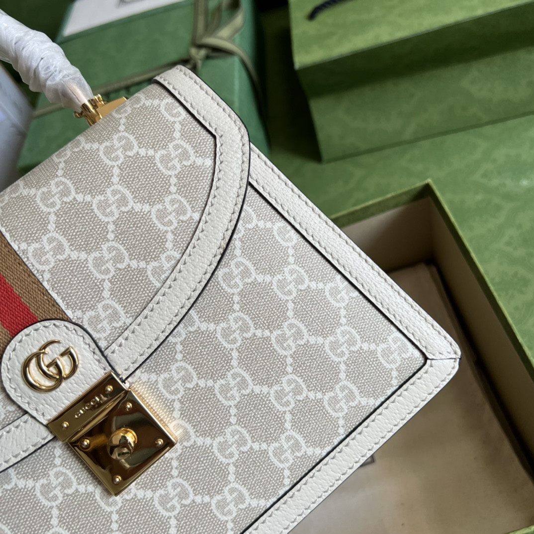 Gucci Ophidia Bag