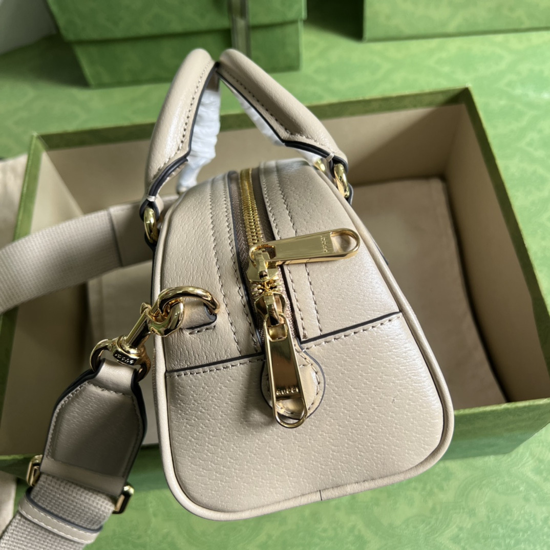 Gucci Ophidia Bag
