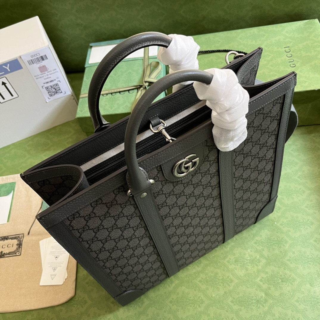 Gucci Ophidia Bag