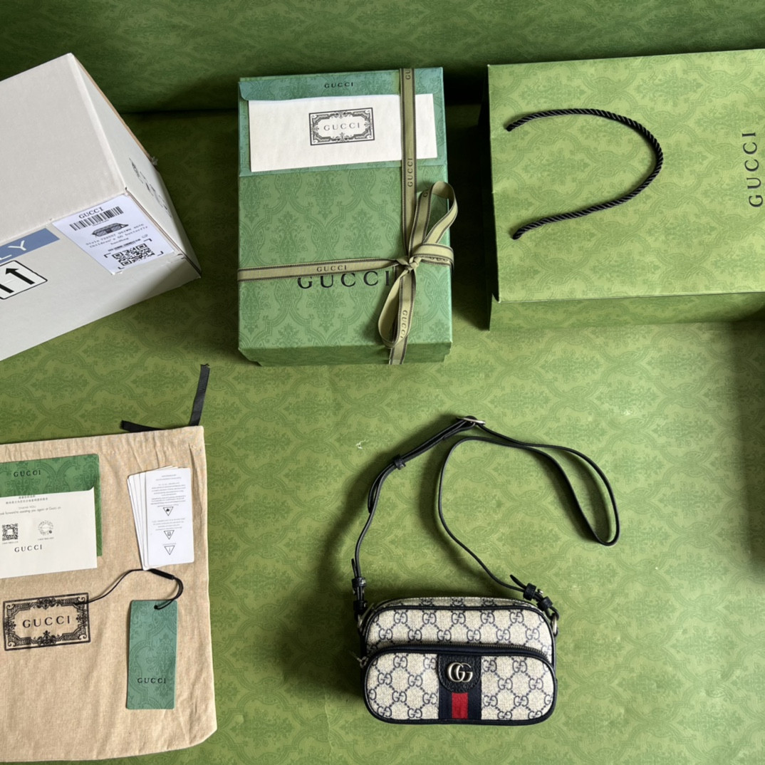 Gucci Ophidia Bag