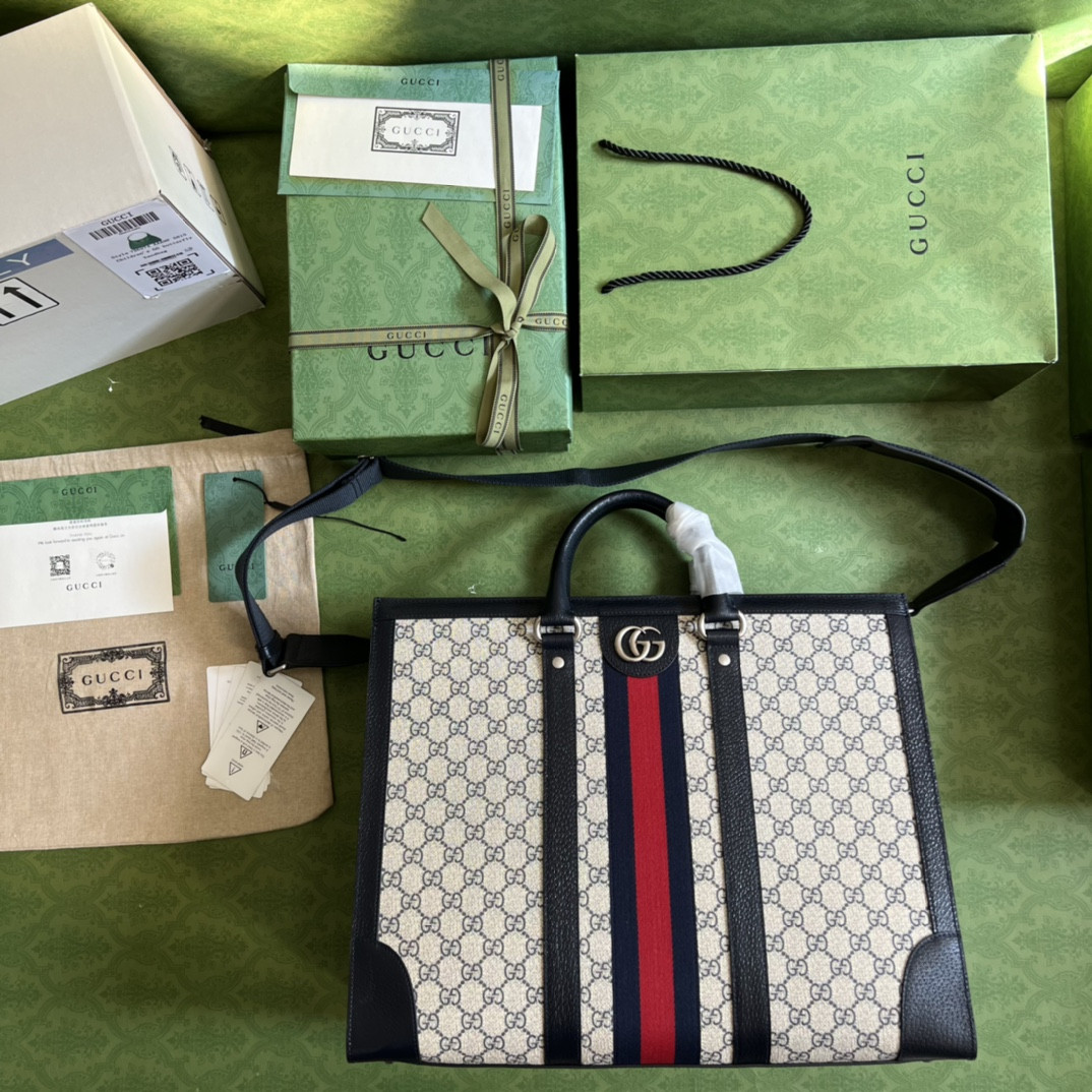 Gucci Ophidia Bag
