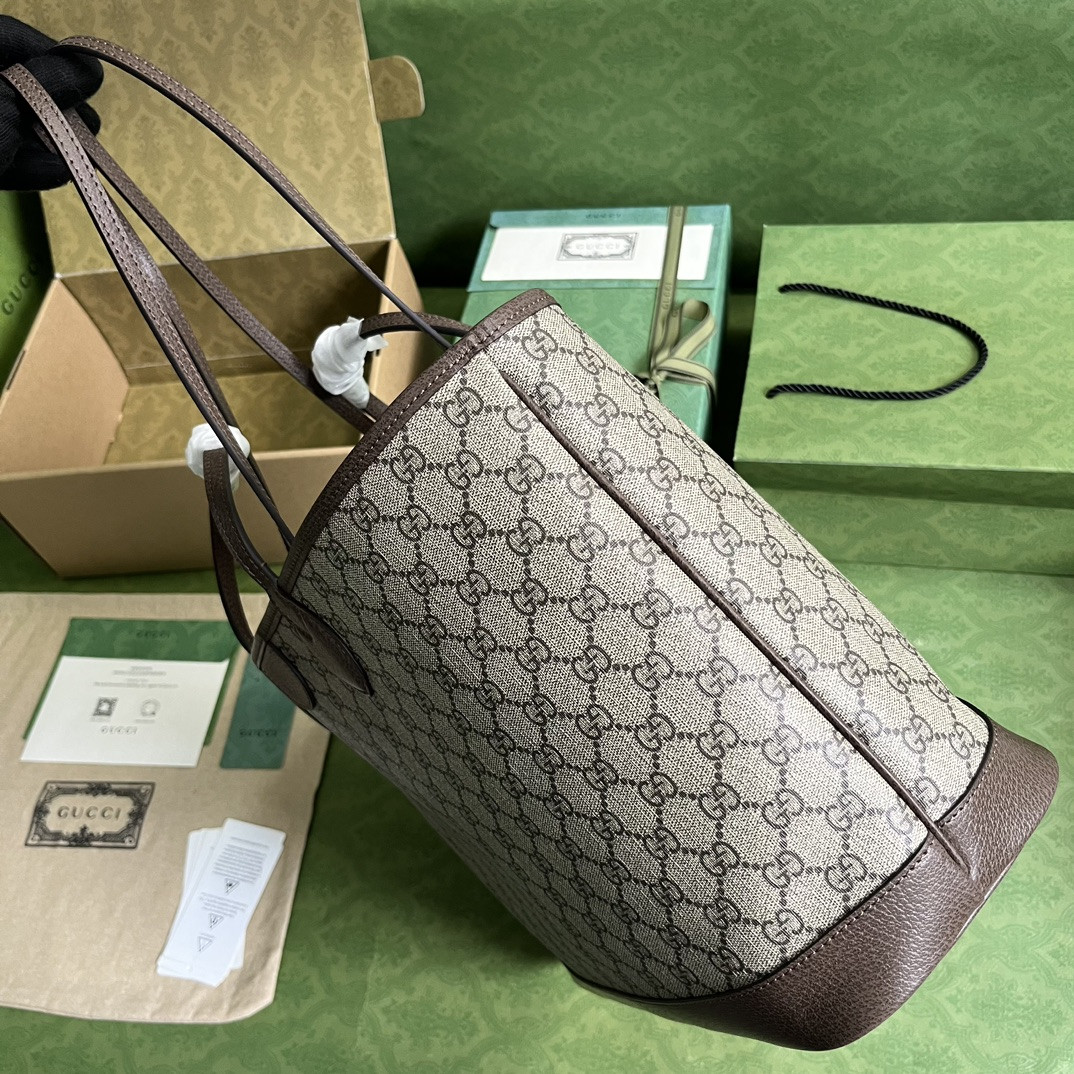 Gucci Ophidia Bag