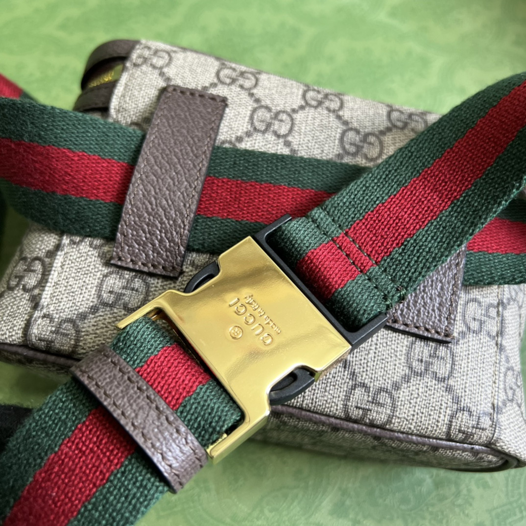 Gucci Ophidia Bag