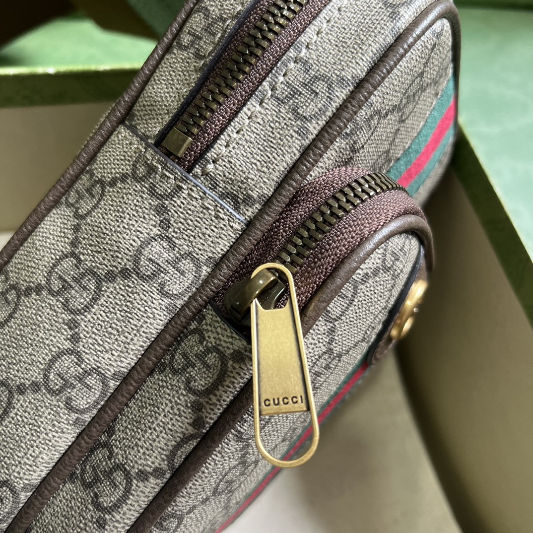 Gucci Ophidia Bag