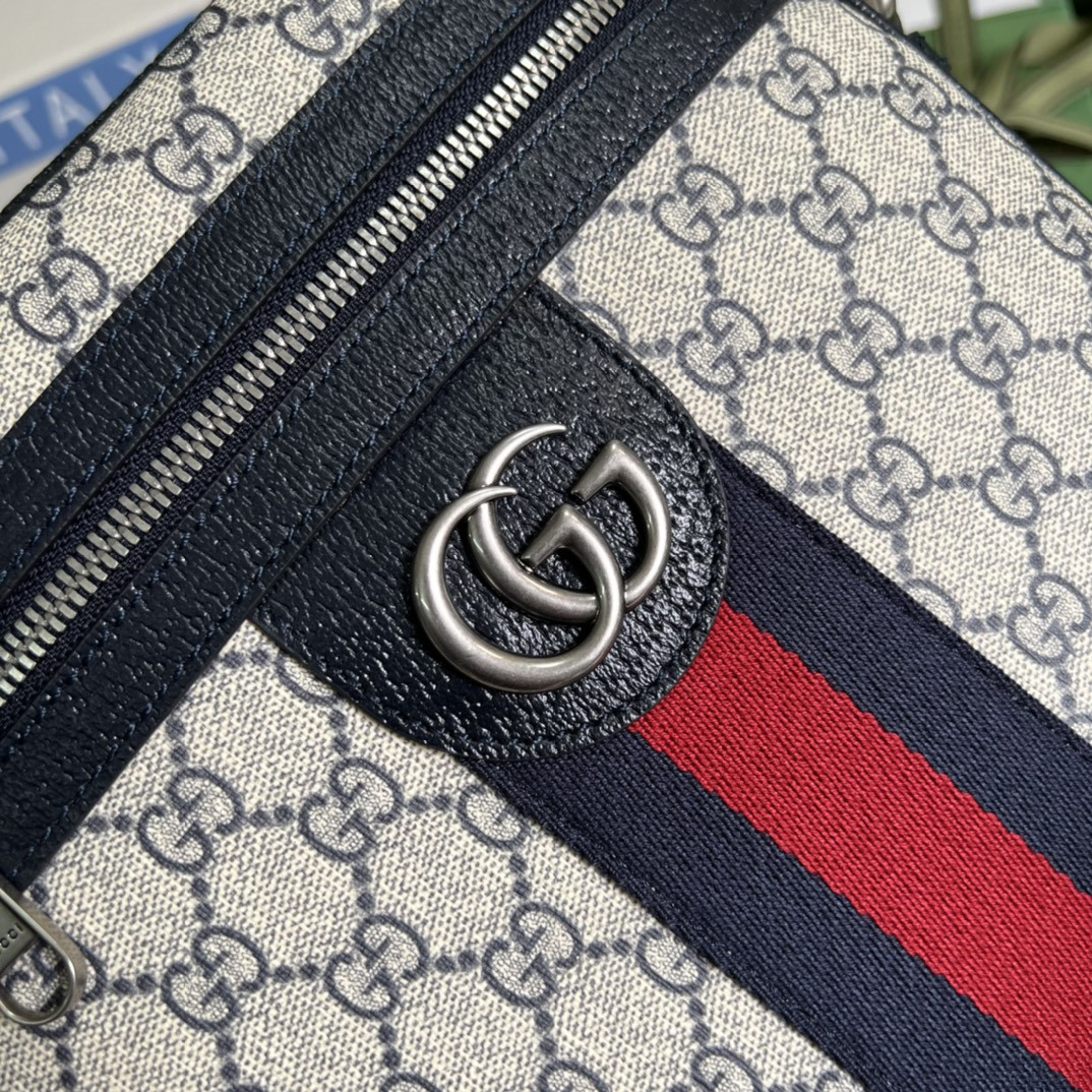 Gucci Ophidia Bag