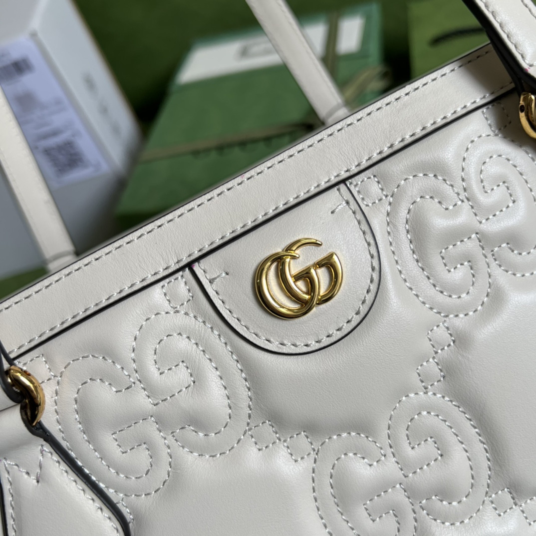 Gucci Ophidia Bag
