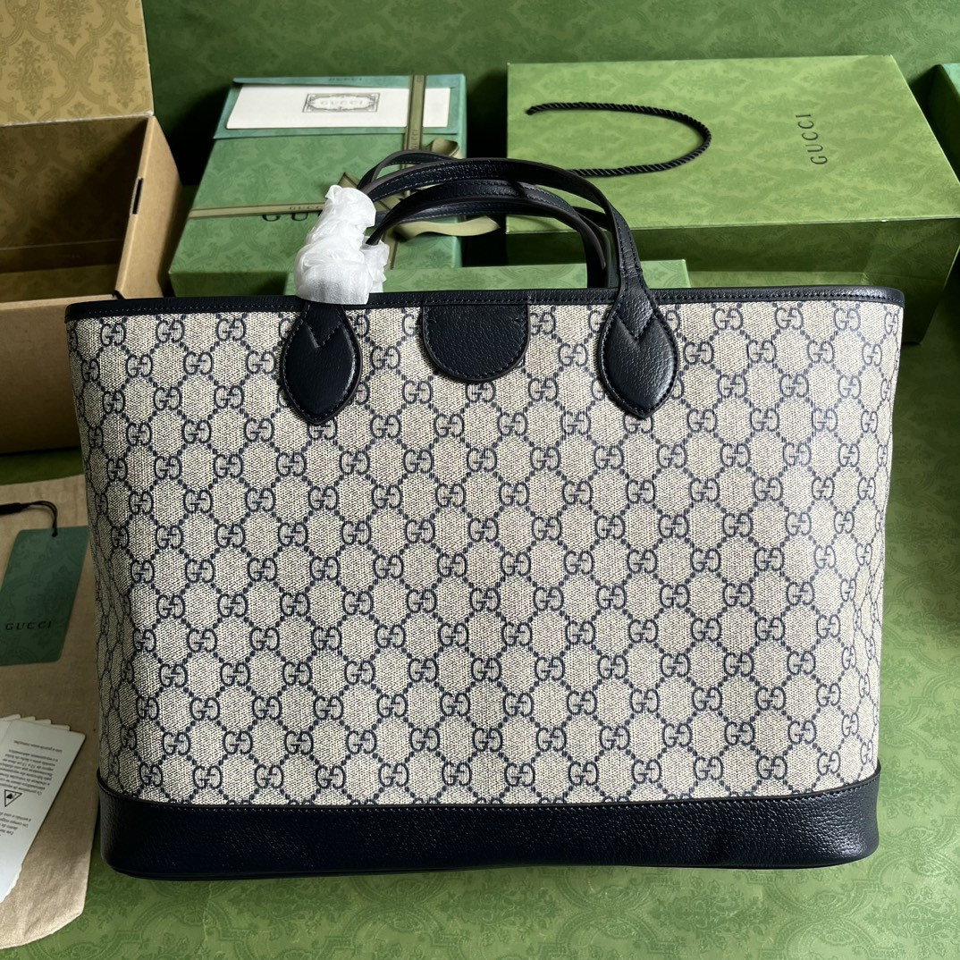 Gucci Ophidia Bag