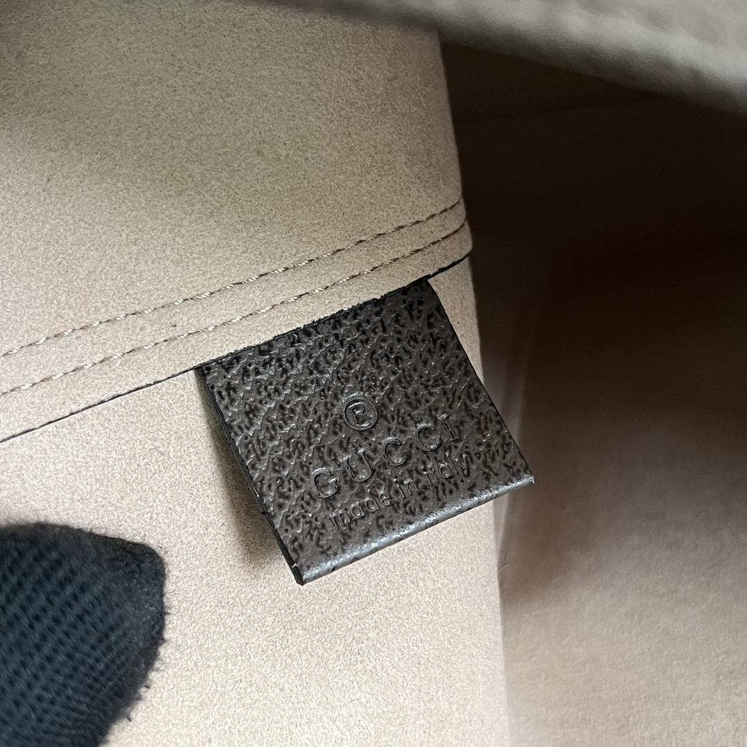 Gucci Ophidia Bag