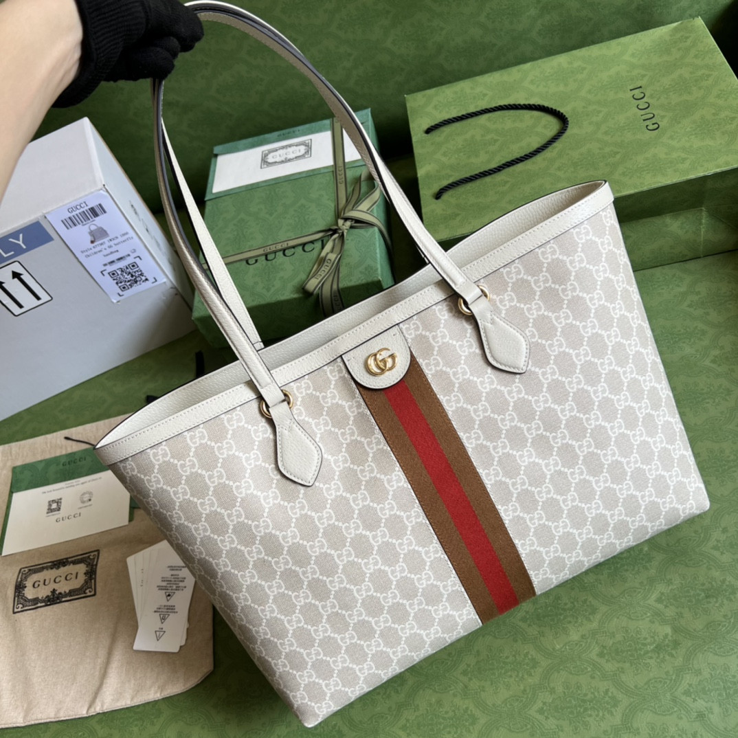 Gucci Ophidia Bag