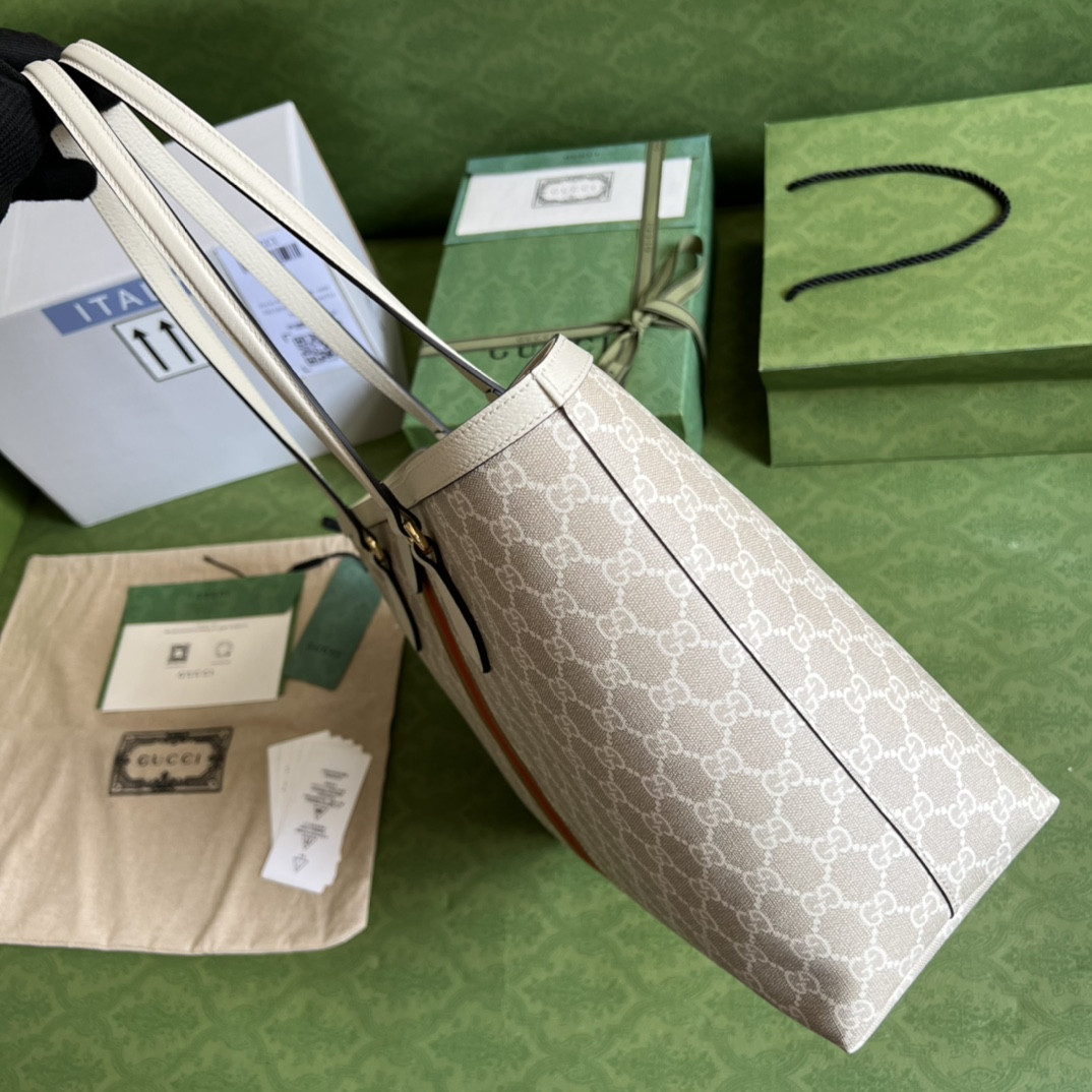Gucci Ophidia Bag