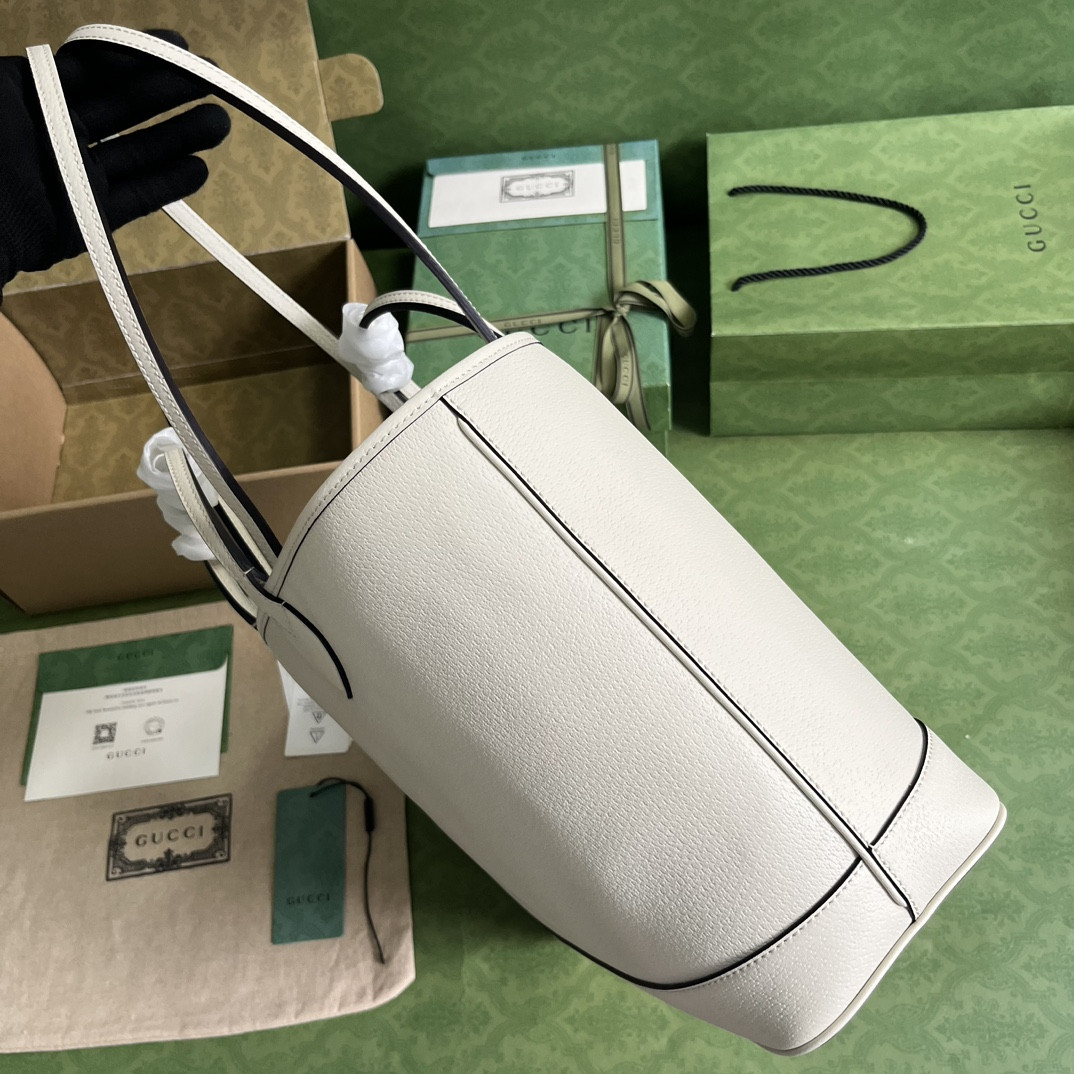 Gucci Ophidia Bag