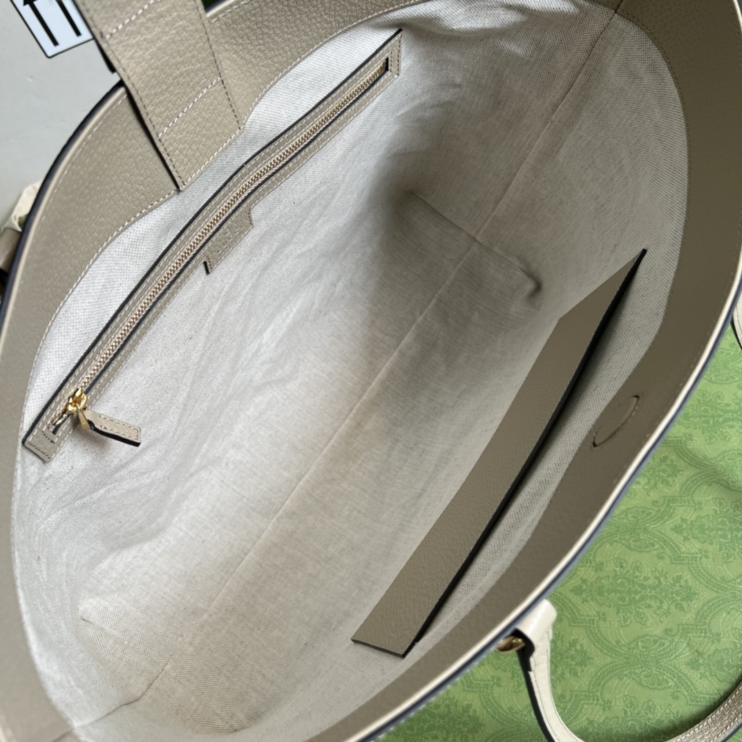 Gucci Ophidia Bag