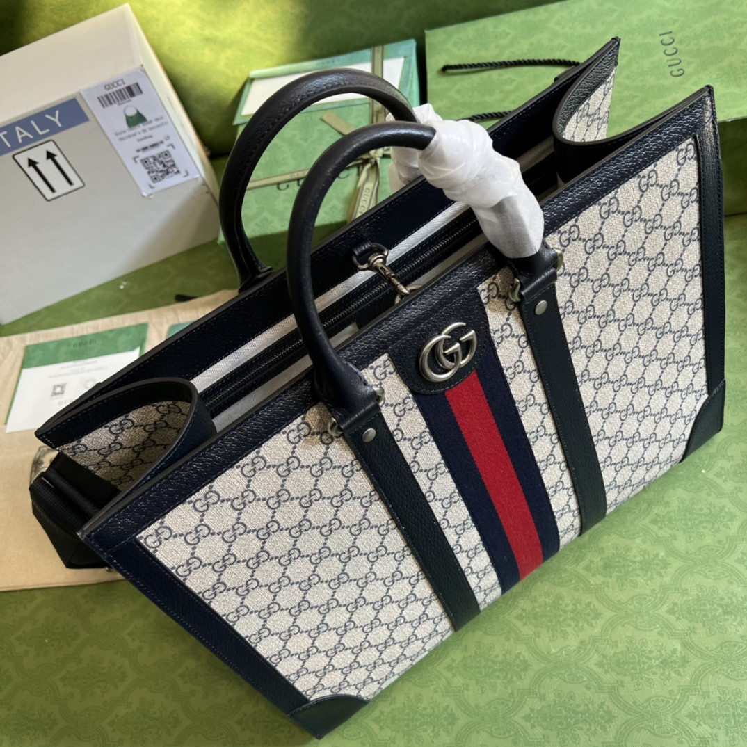 Gucci Ophidia Bag