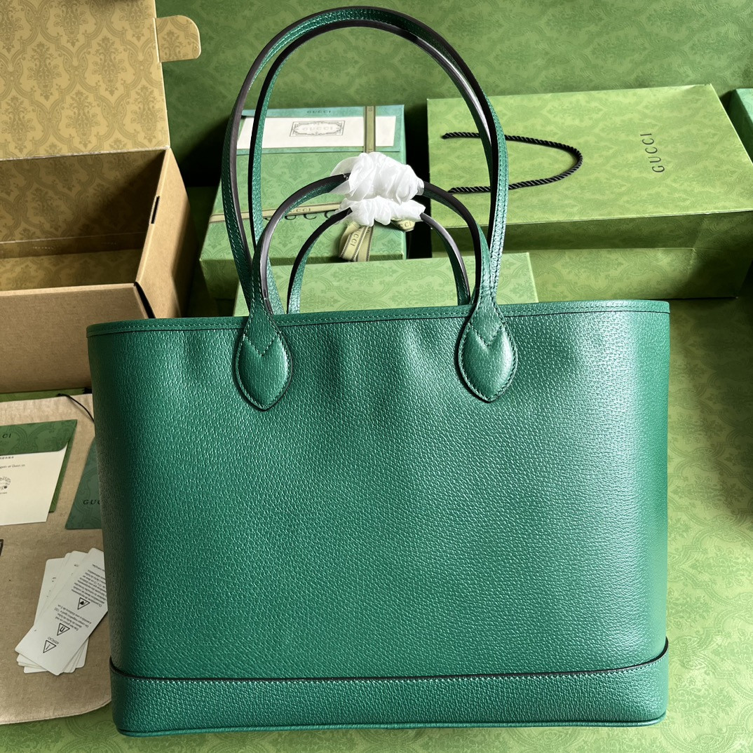 Gucci Ophidia Bag