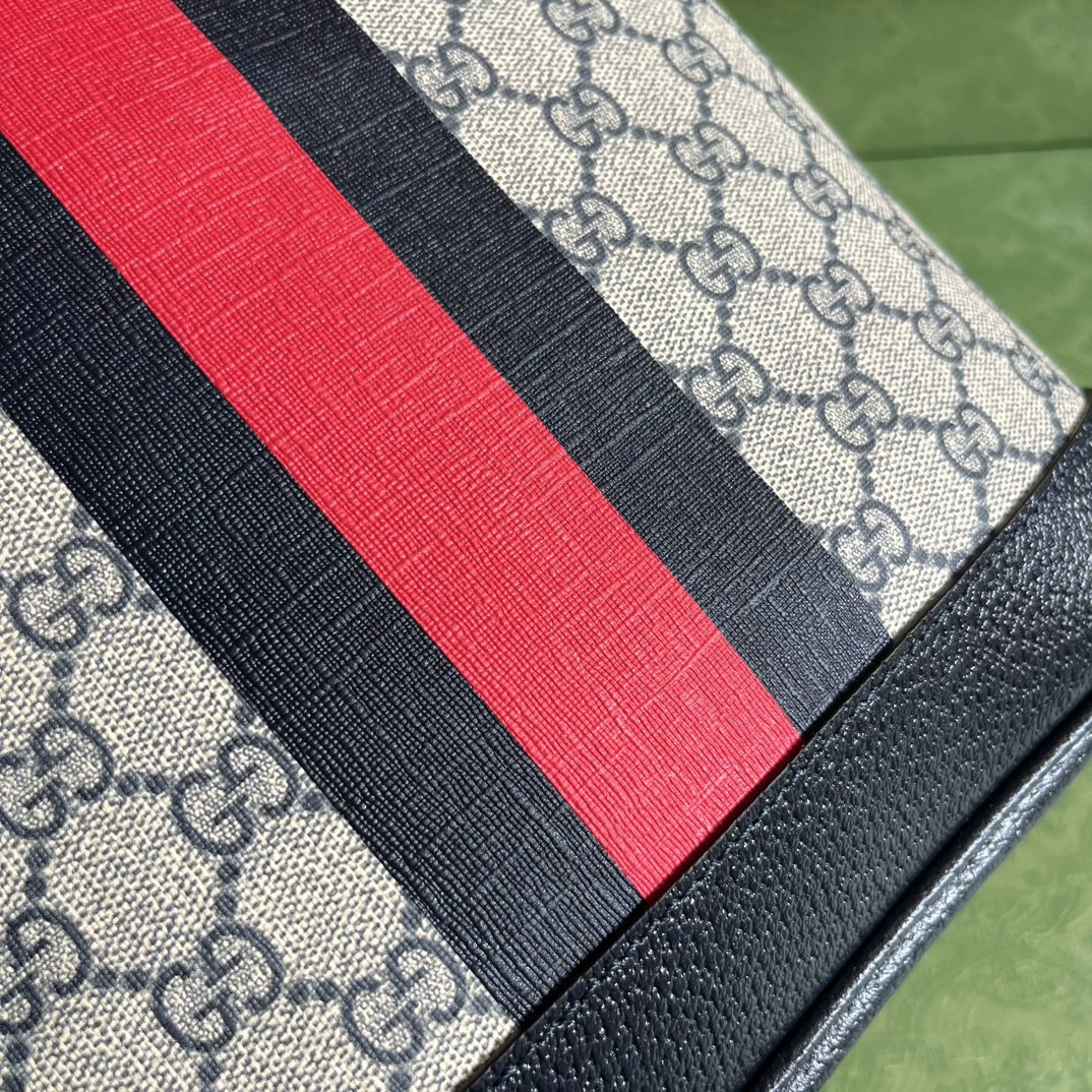 Gucci Ophidia Bag
