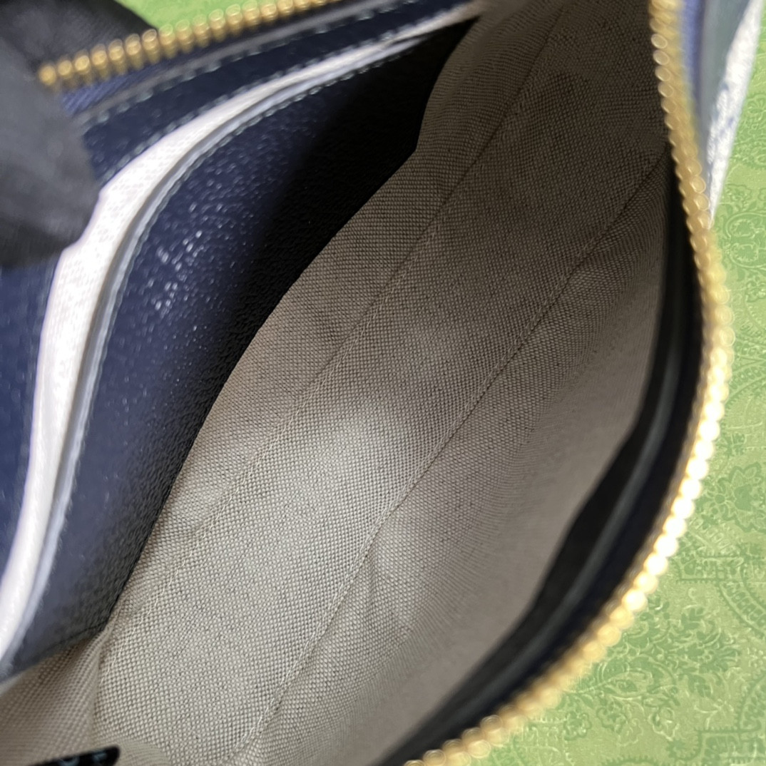 Gucci Ophidia Bag