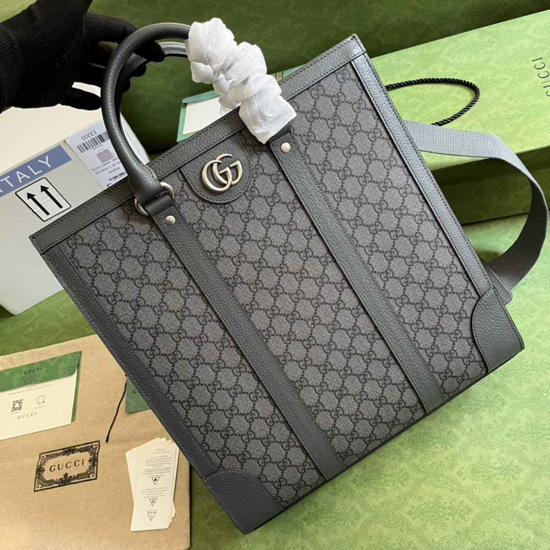 Gucci Ophidia Bag