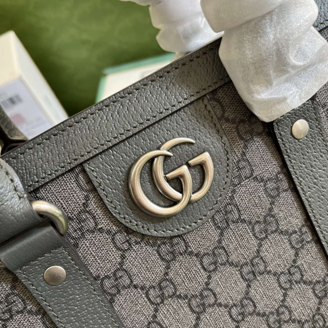 Gucci Ophidia Bag