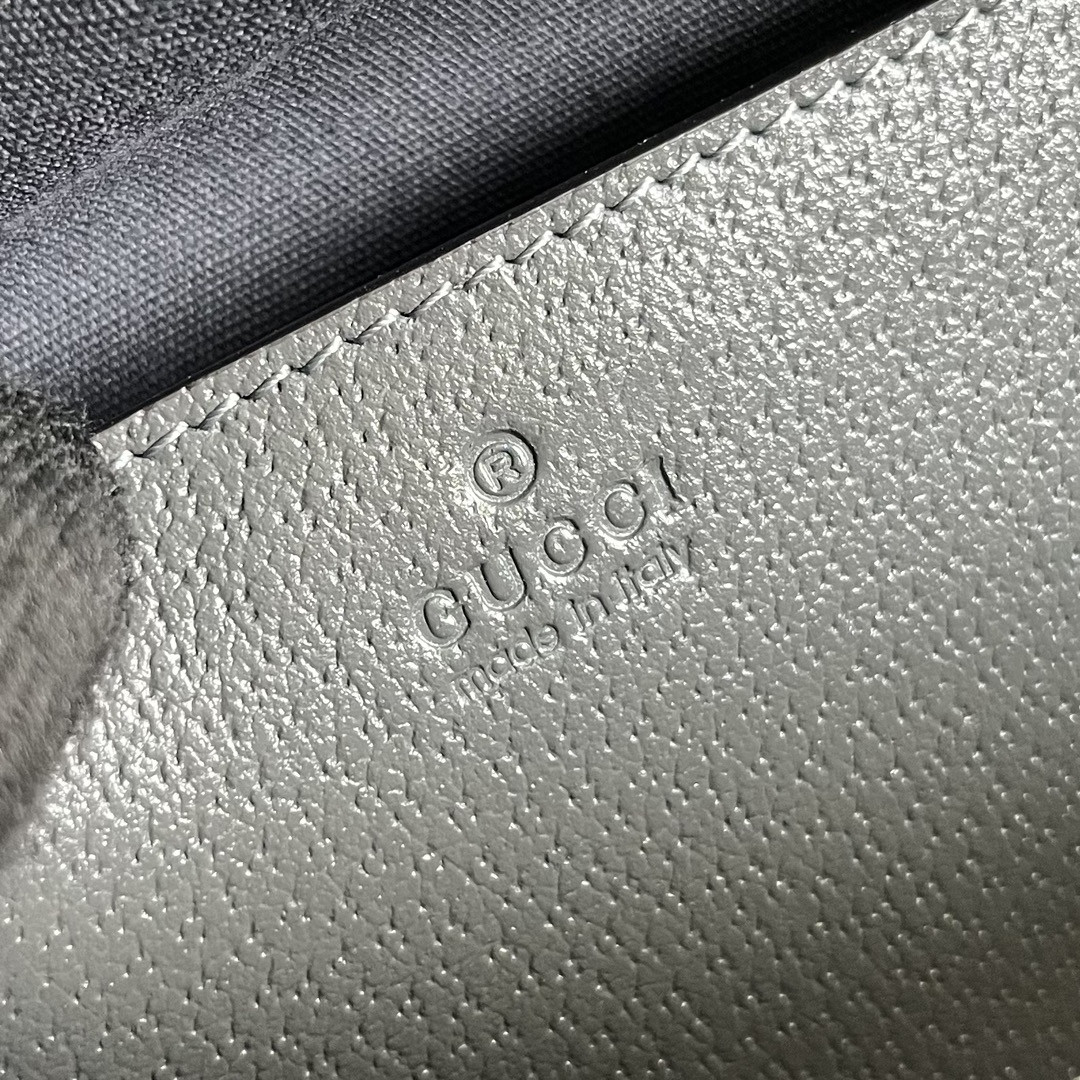 Gucci Ophidia Bag