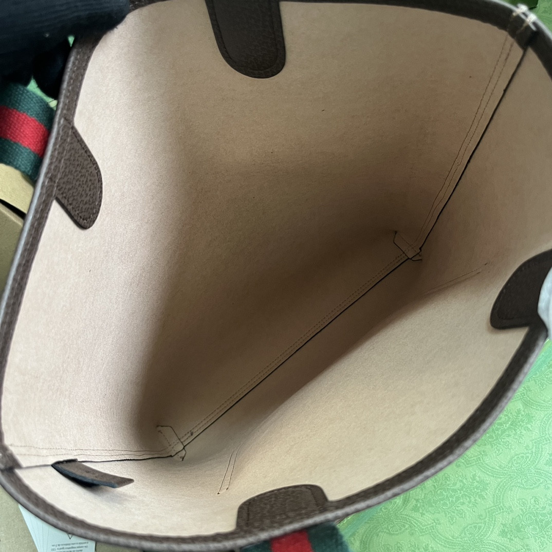 Gucci Ophidia Bag