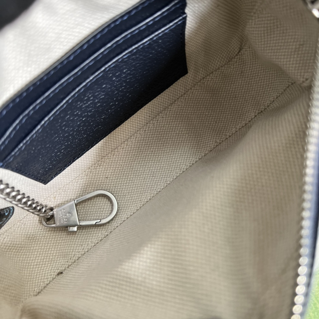 Gucci Ophidia Bag