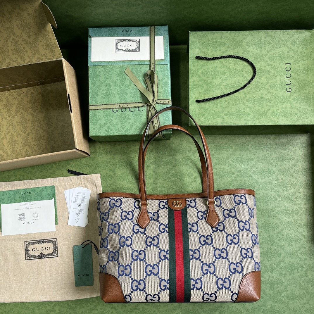 Gucci Ophidia Bag