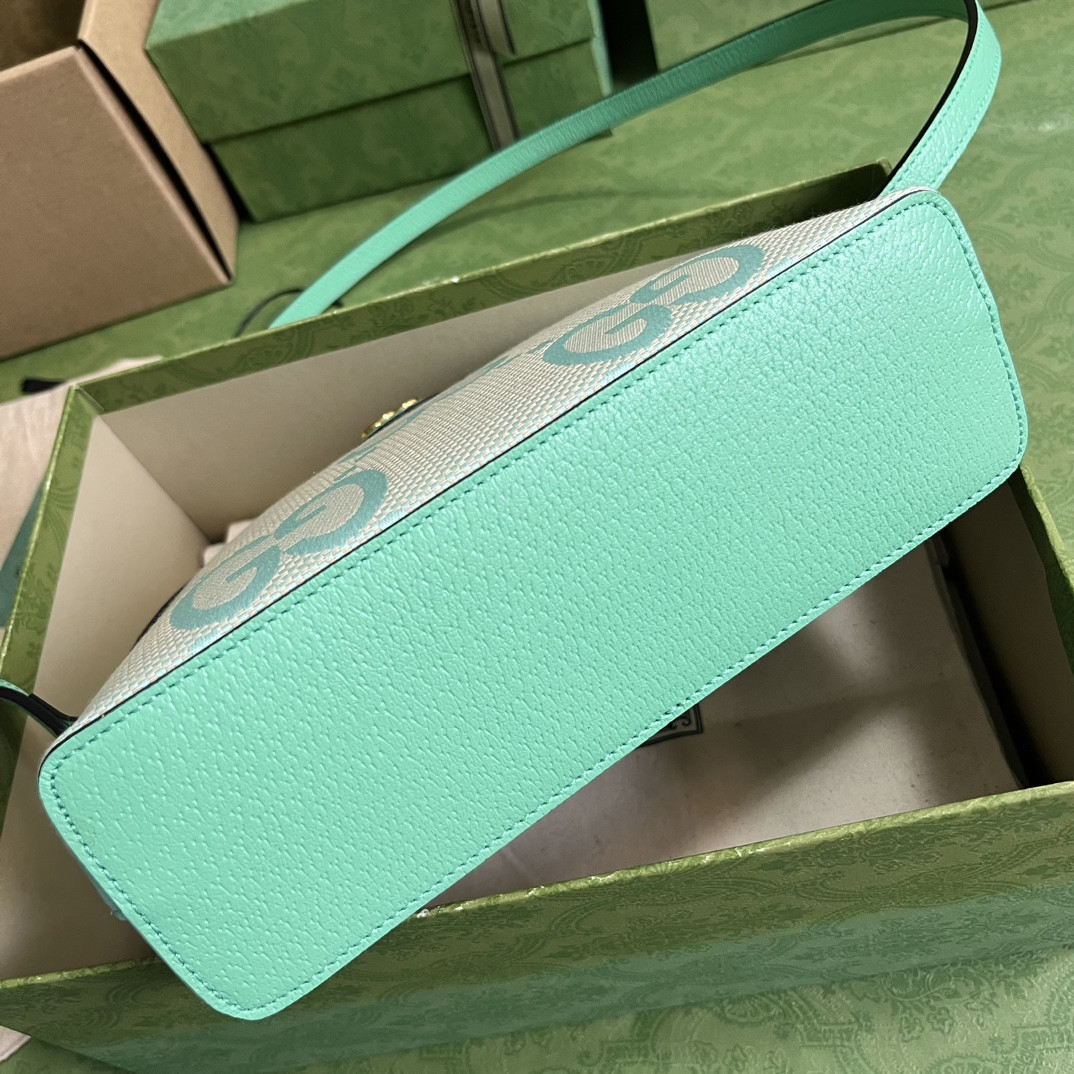 Gucci Ophidia Bag