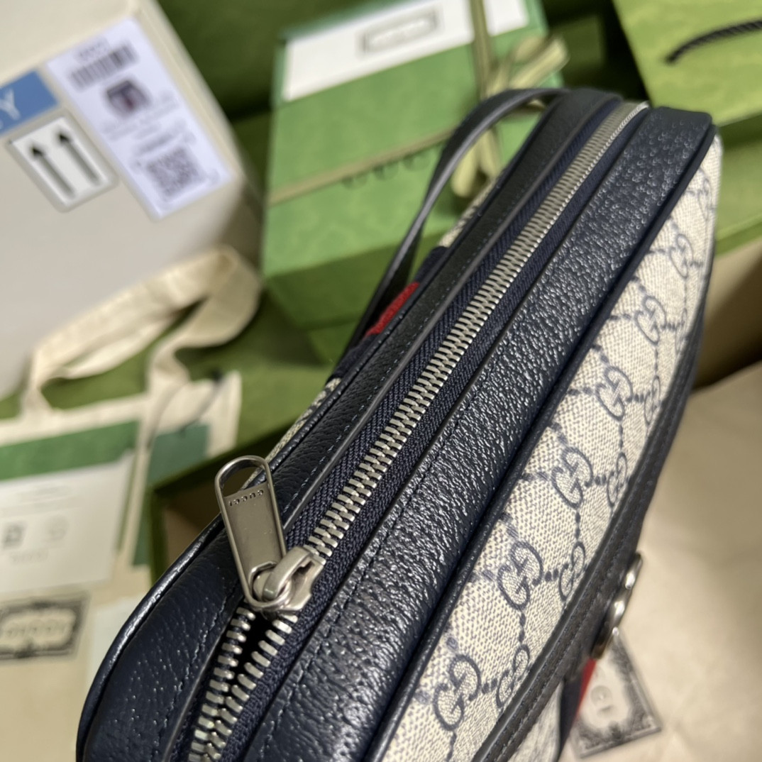 Gucci Ophidia Bag