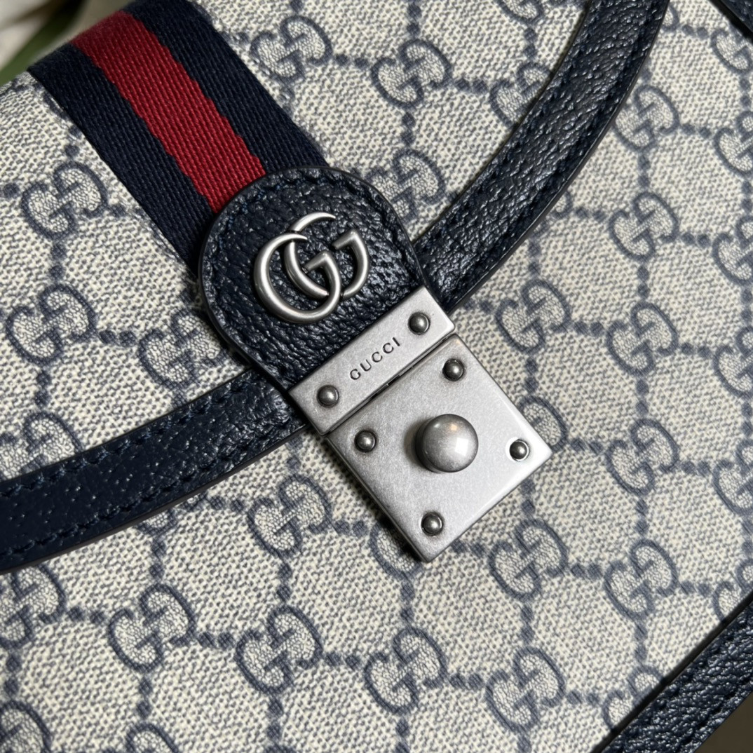 Gucci Ophidia Bag