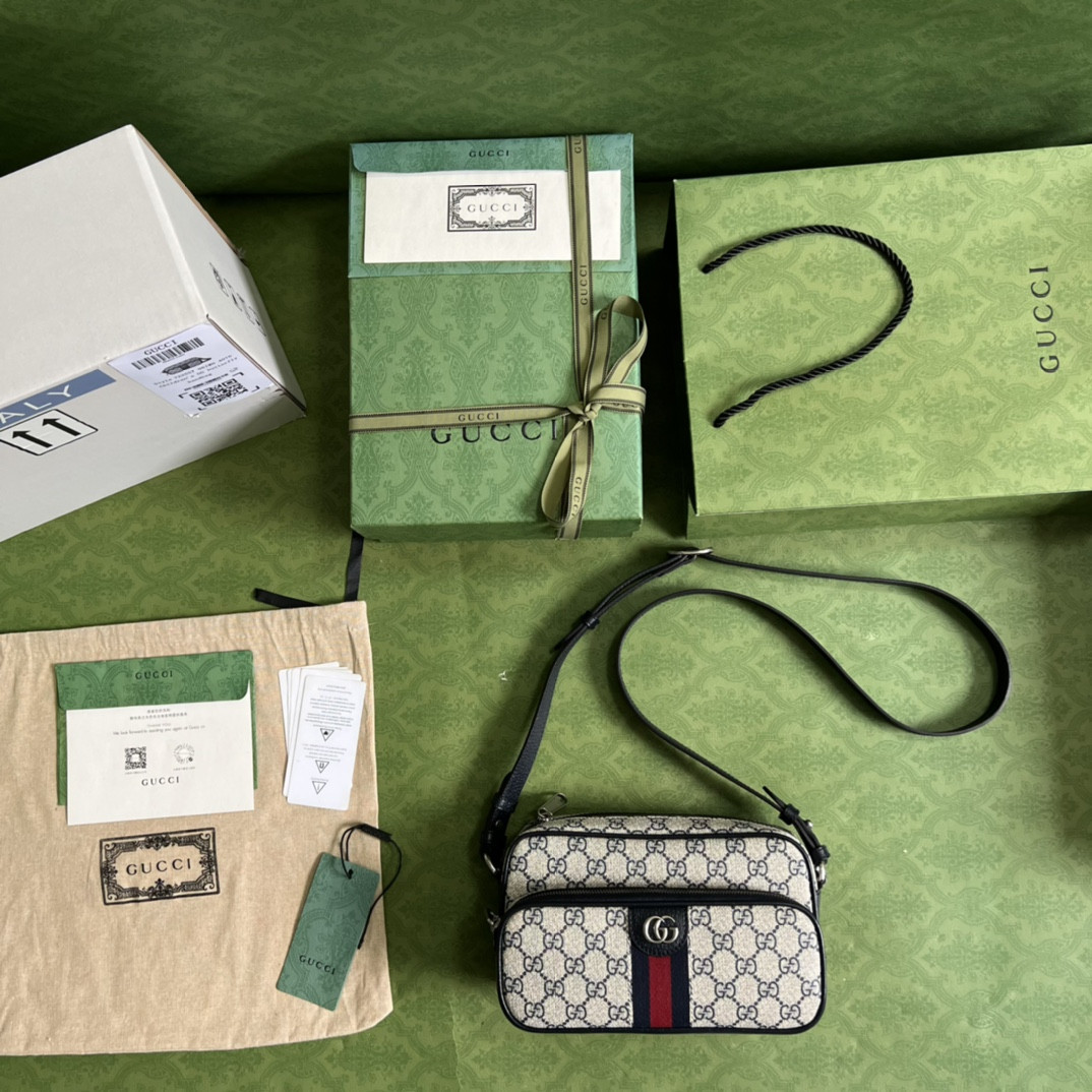 Gucci Ophidia Bag