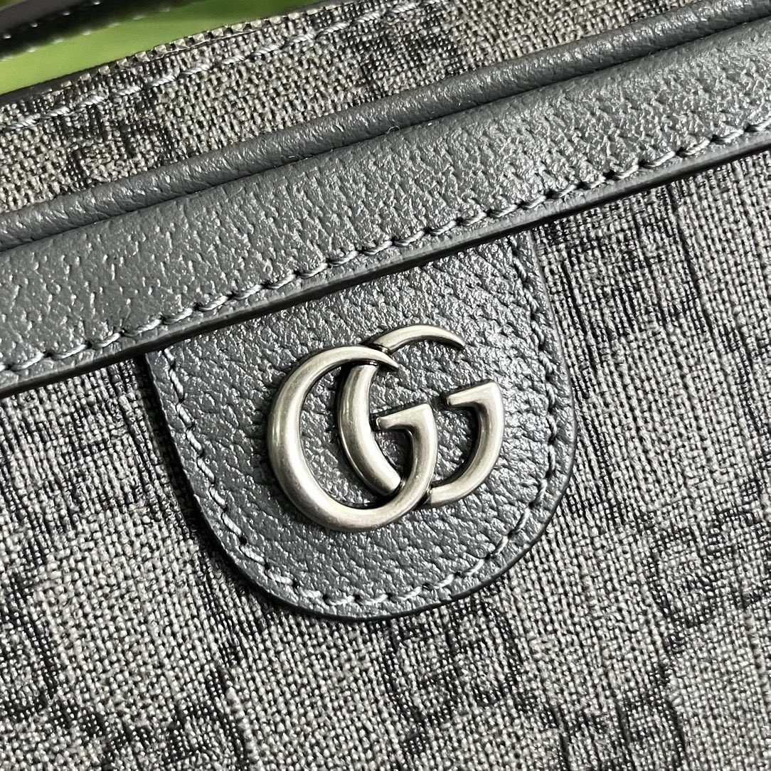 Gucci Ophidia Bag