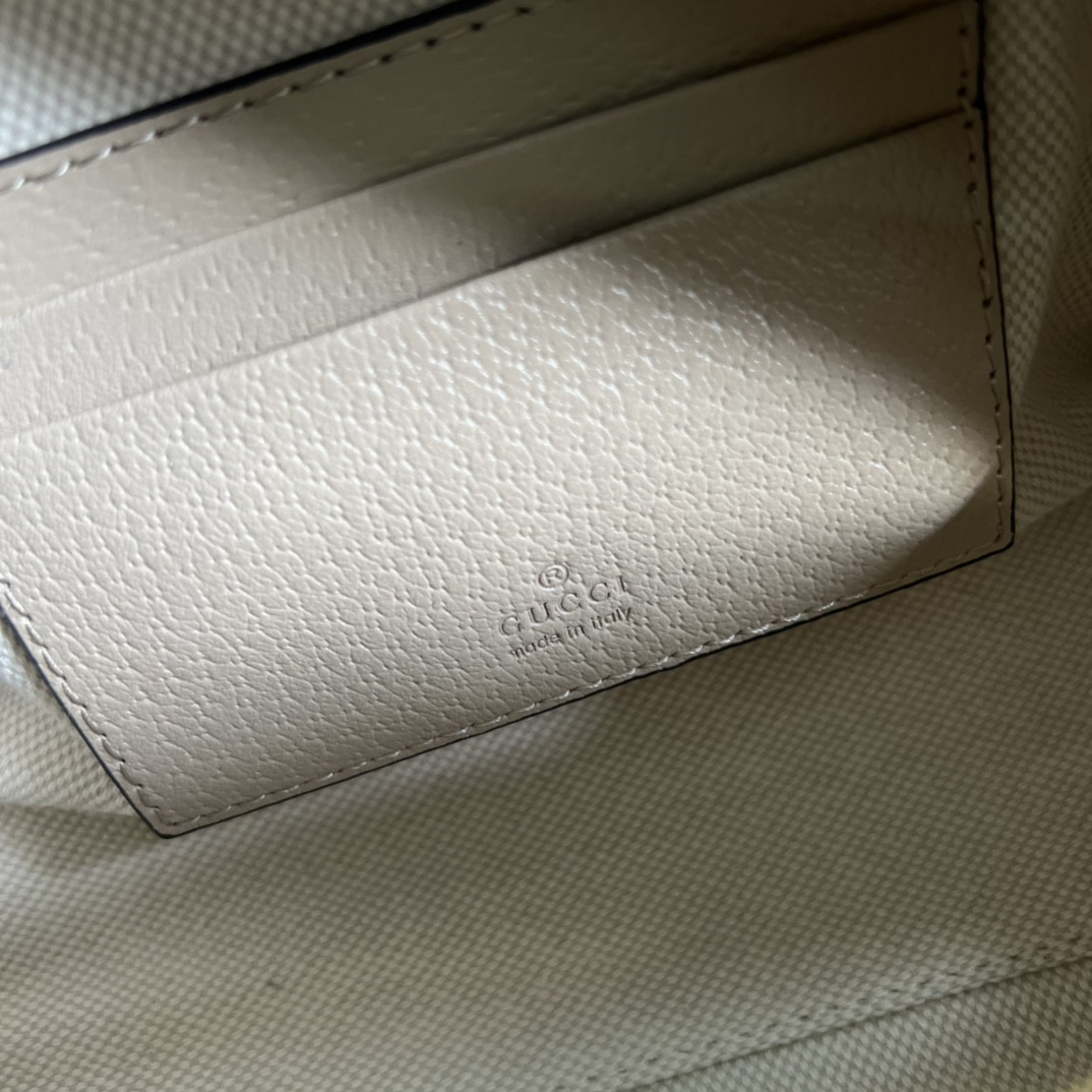 Gucci Ophidia Bag