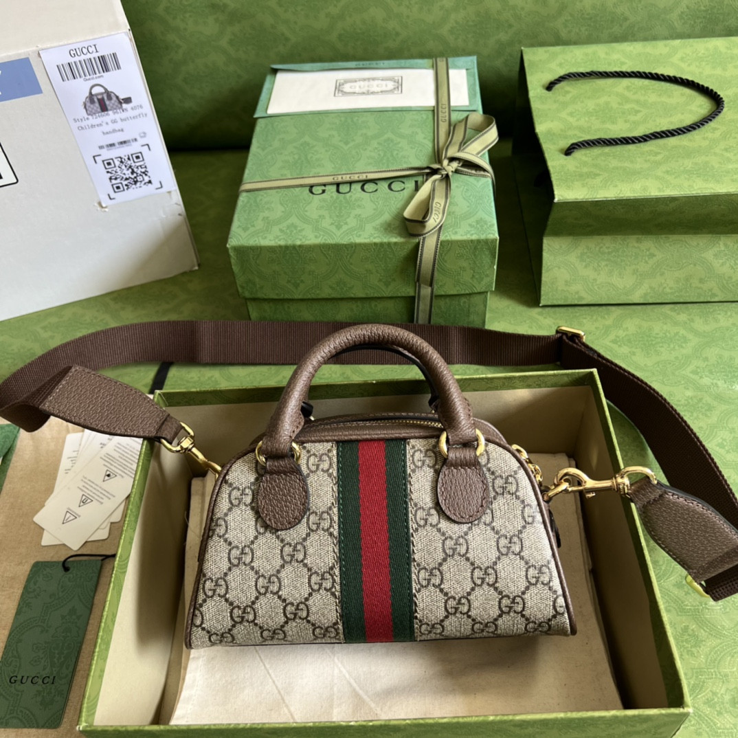 Gucci Ophidia Bag