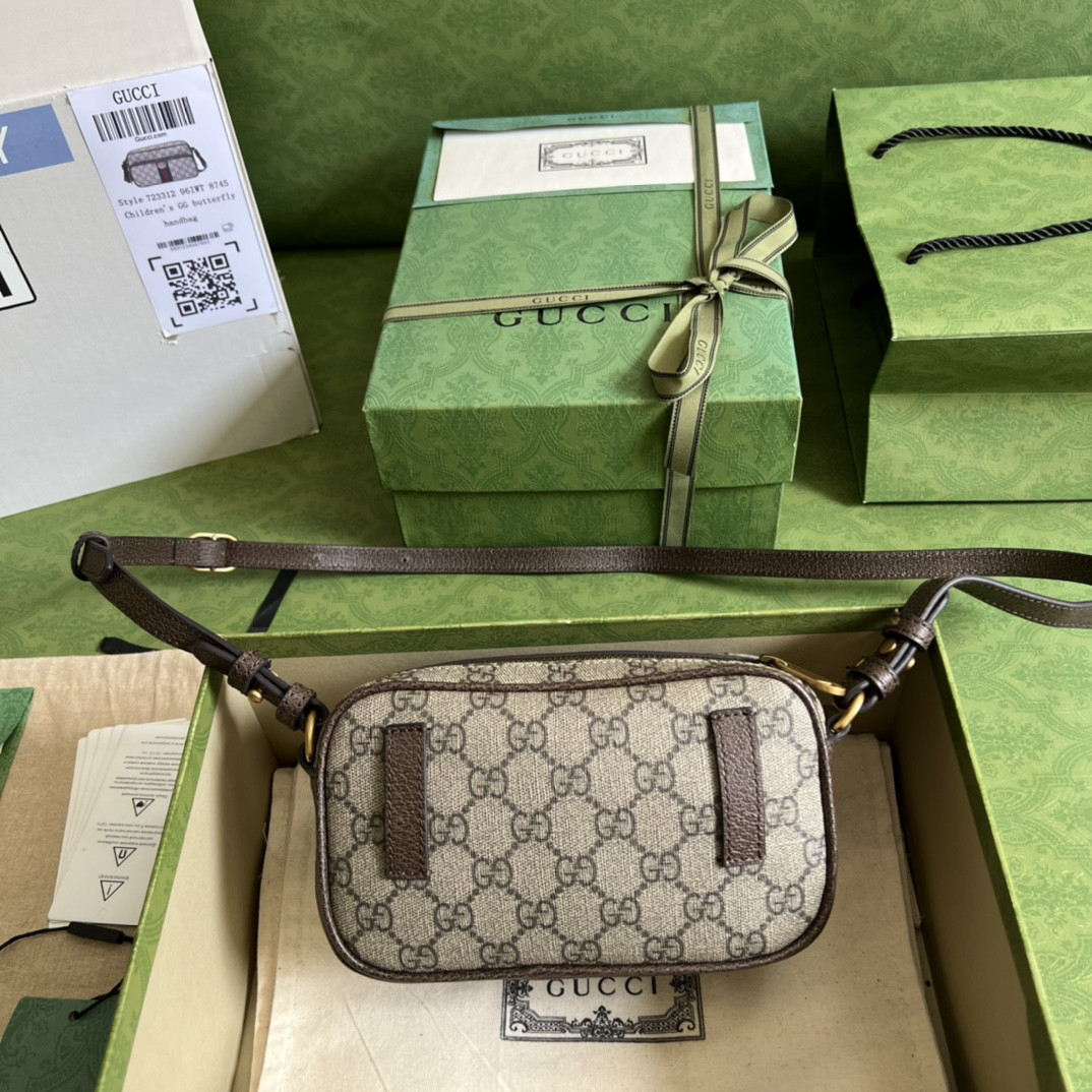 Gucci Ophidia Bag