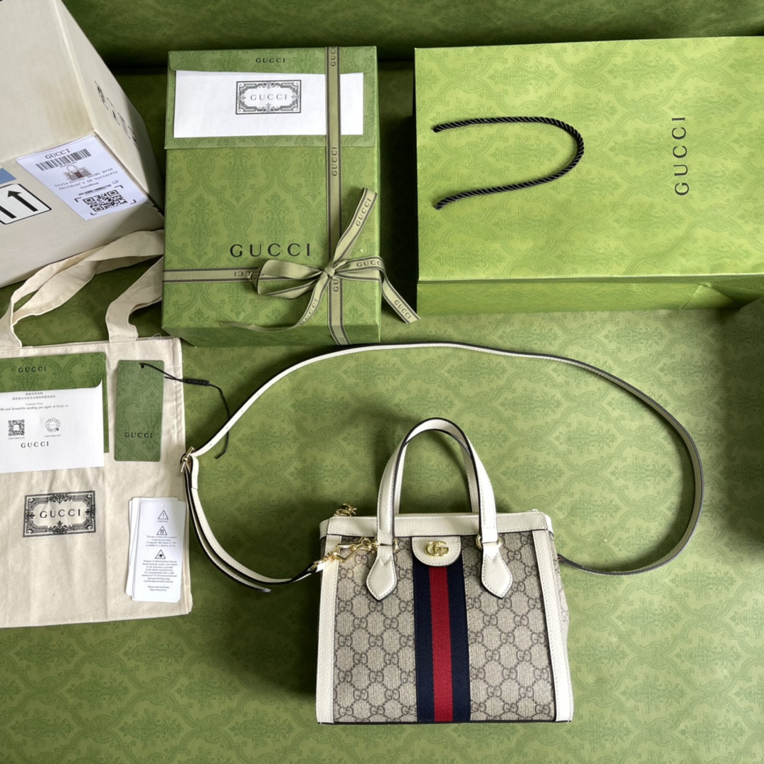 Gucci Ophidia Bag