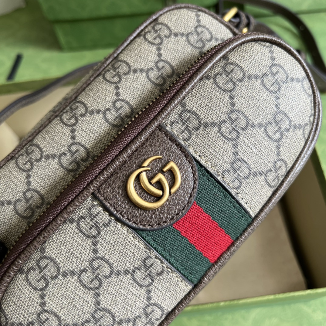 Gucci Ophidia Bag