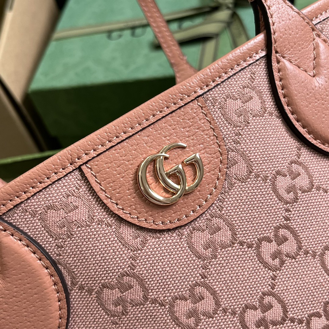 Gucci Ophidia Bag