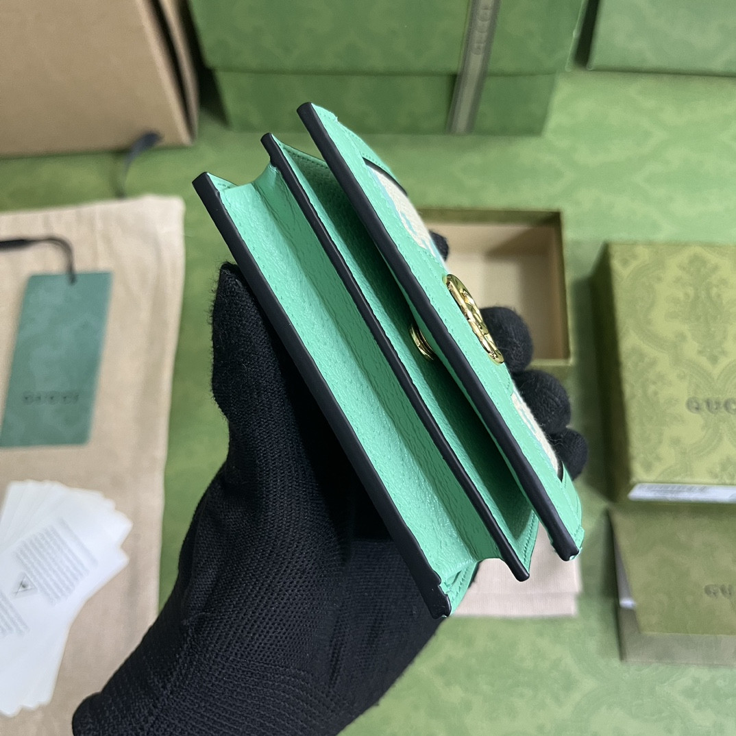 Gucci Ophidia Bag