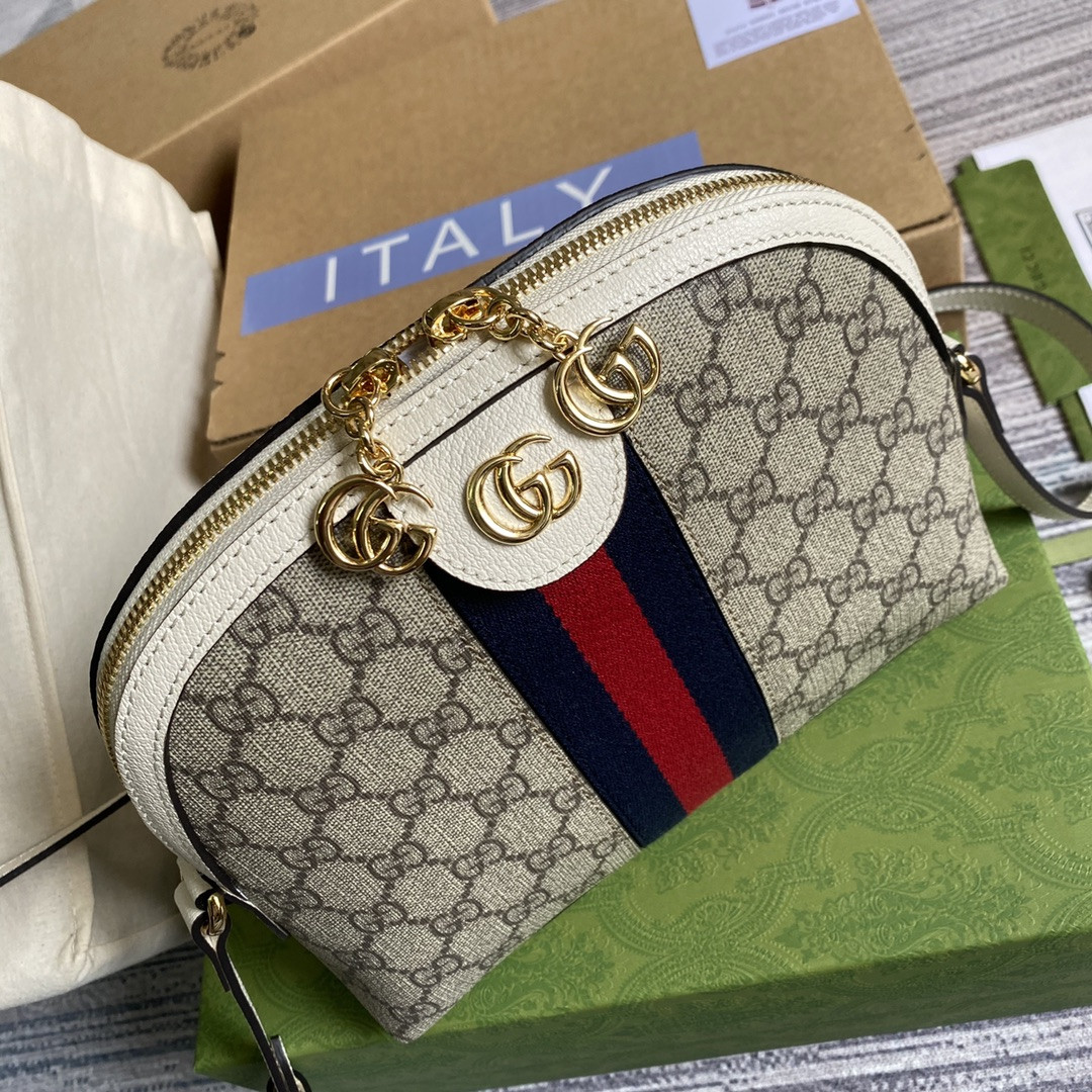 Gucci Ophidia Bag