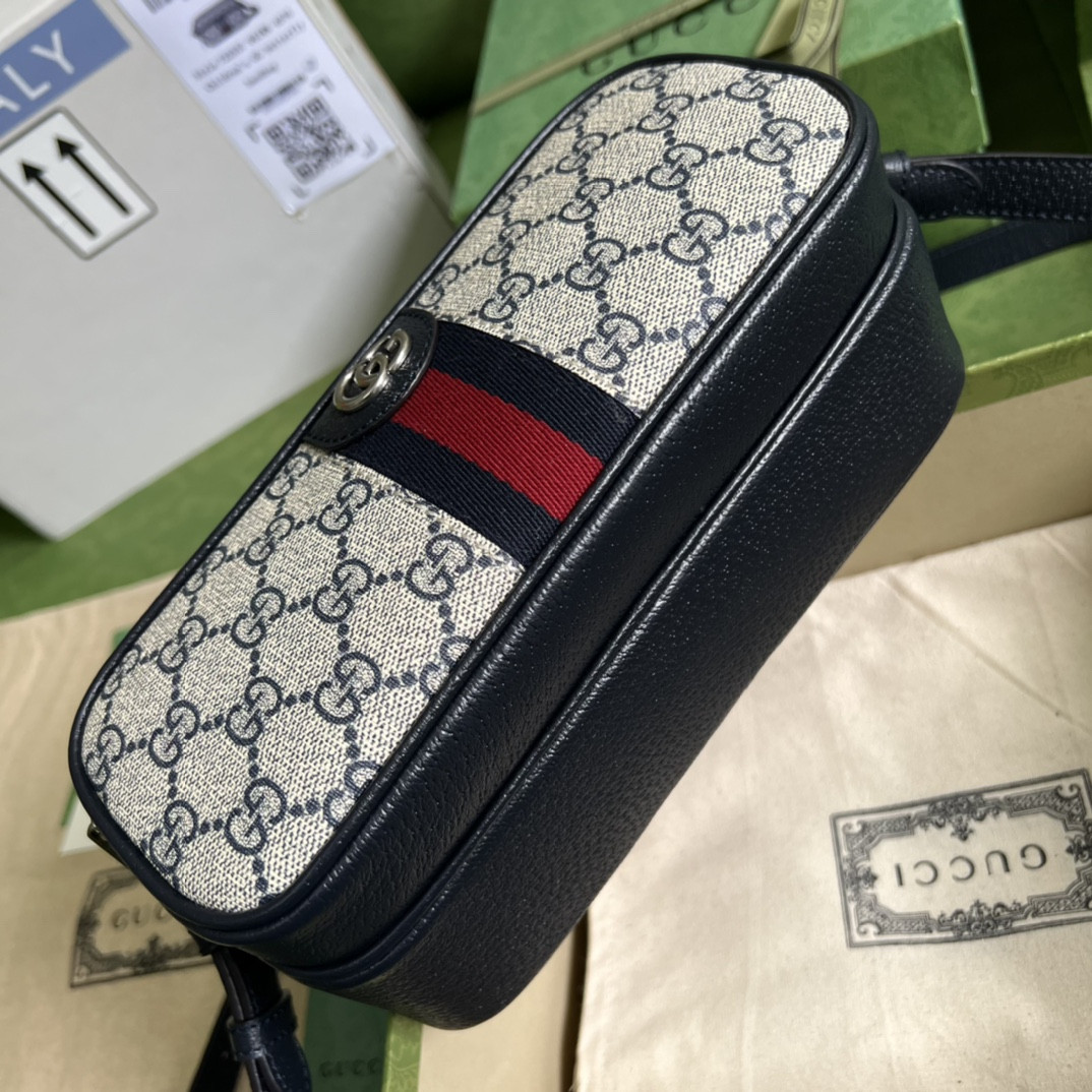 Gucci Ophidia Bag