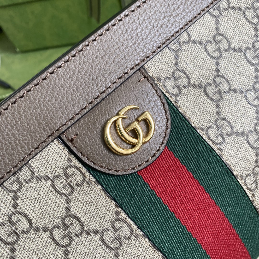 Gucci Ophidia Bag