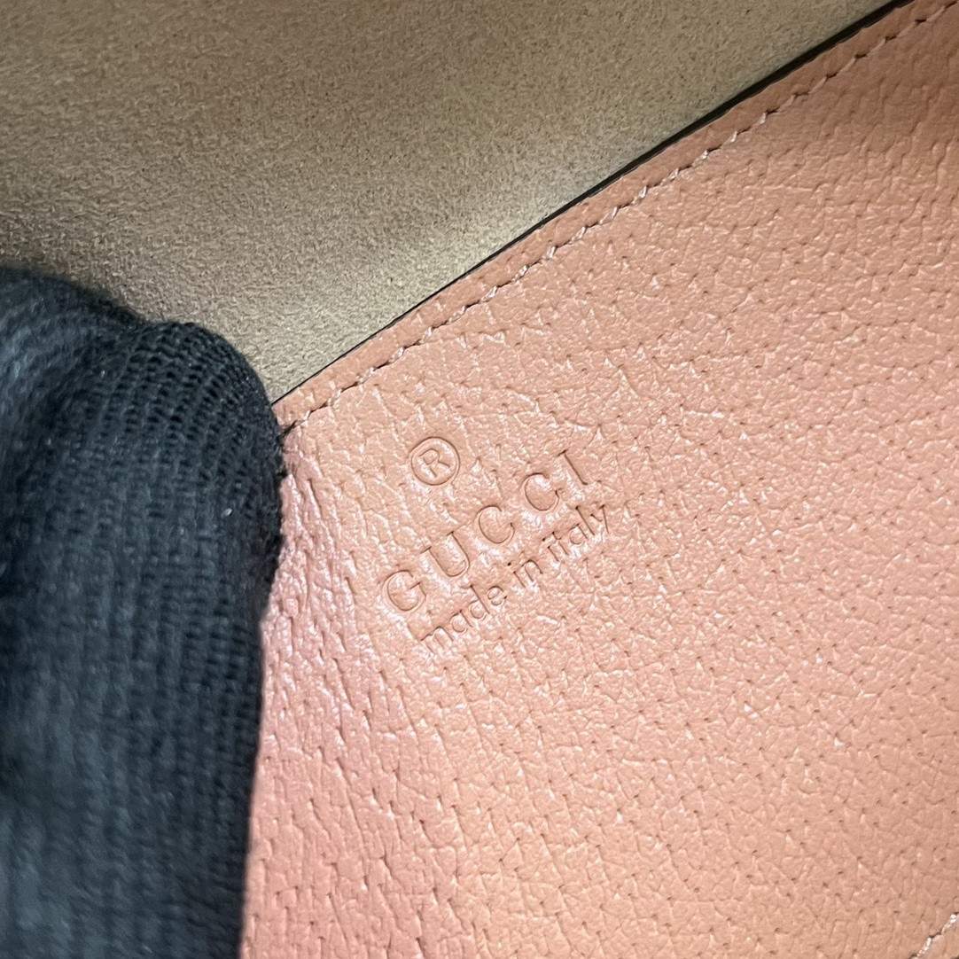 Gucci Ophidia Bag