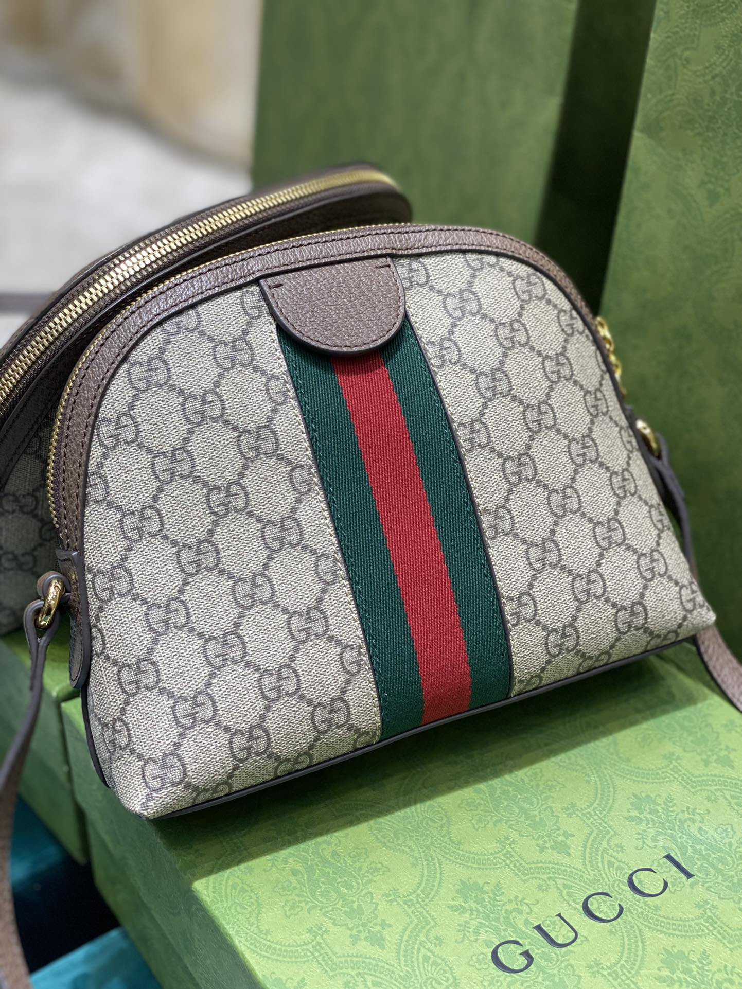Gucci Ophidia Bag