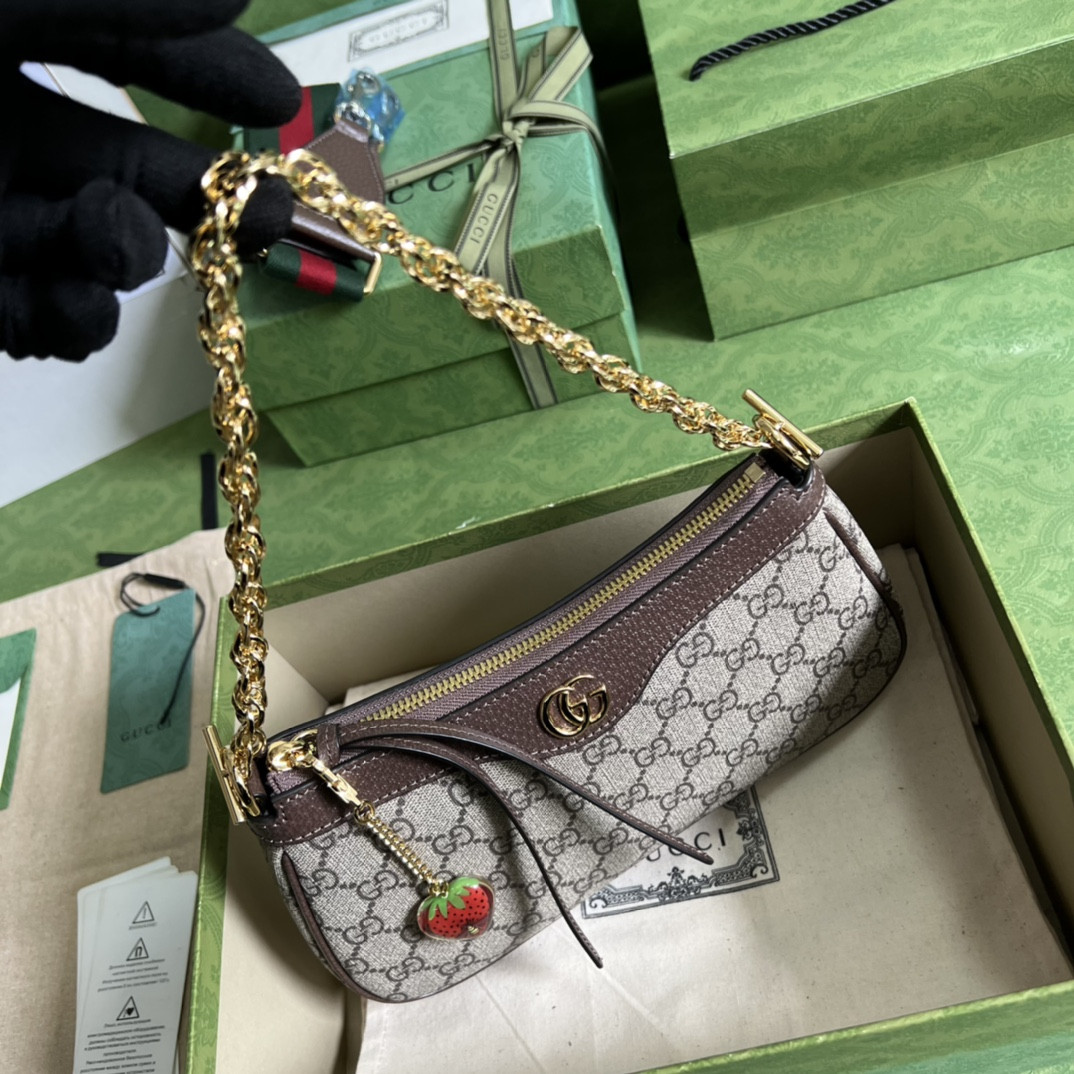 Gucci Ophidia Bag