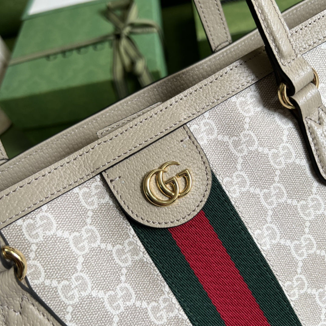 Gucci Ophidia Bag