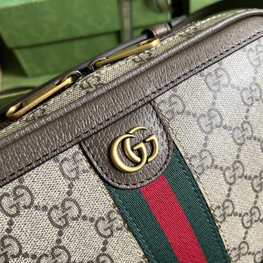 Gucci Ophidia Bag