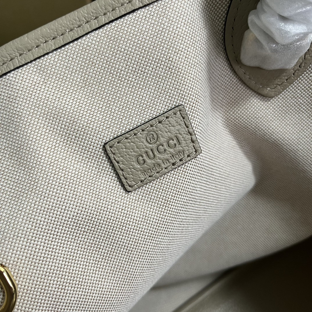 Gucci Ophidia Bag